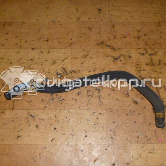 Фото Патрубок радиатора  8200253016 для Renault Clio / Thalia 2 / Kangoo 1