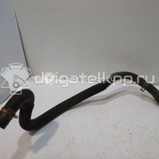 Фото Патрубок радиатора  8200026126 для Renault Clio / Thalia 2 / Kangoo 1