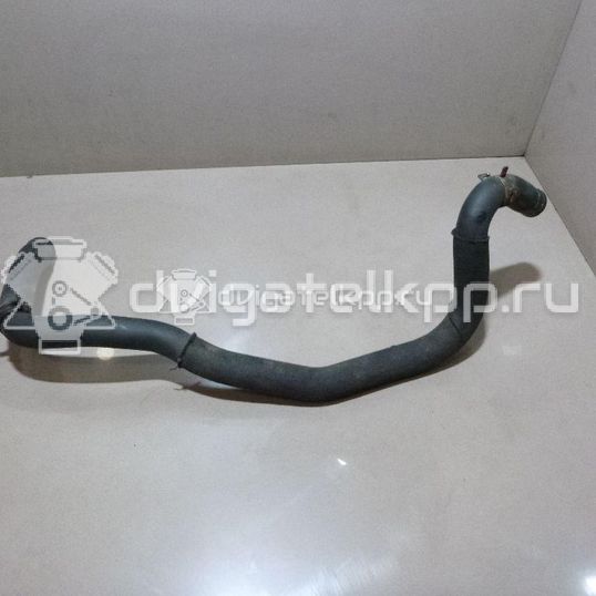 Фото Патрубок радиатора  8200026126 для Renault Clio / Thalia 2 / Kangoo 1