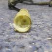 Фото Датчик ABS задний левый  8200254681 для Renault Clio / Thalia 2 {forloop.counter}}