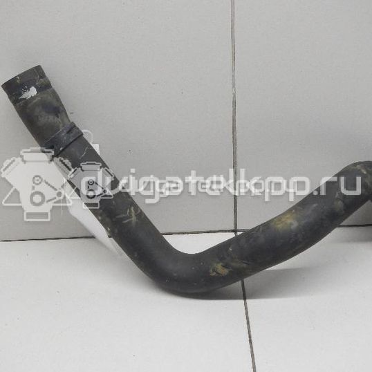Фото Патрубок радиатора  215010070R для Renault Clio