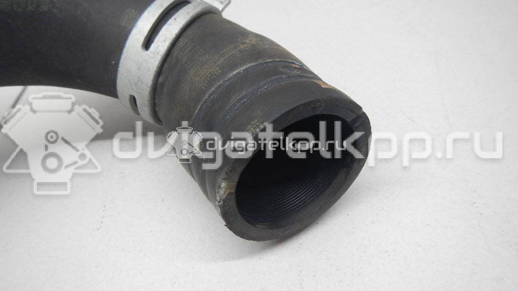 Фото Патрубок радиатора  215010070R для Renault Clio {forloop.counter}}