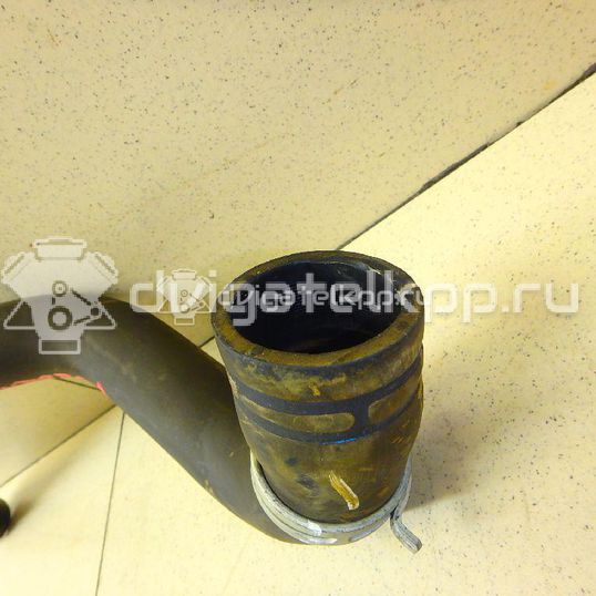 Фото Патрубок радиатора  215010070R для Renault Clio
