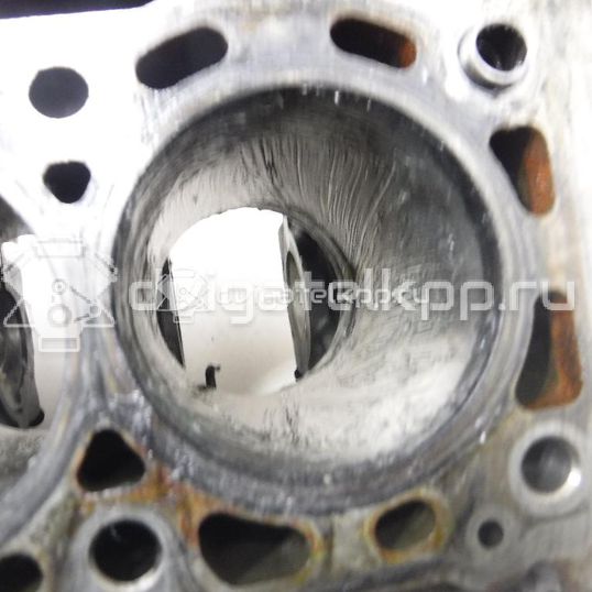 Фото Блок двигателя  110109529R для Renault Megane
