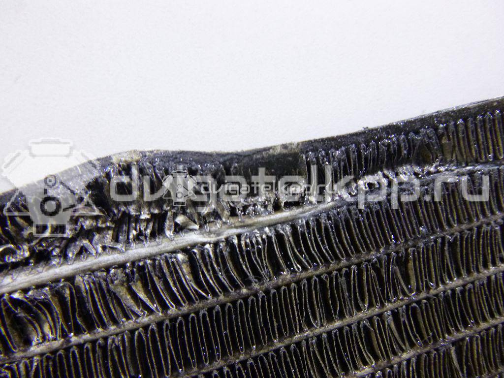 Фото Радиатор основной  214100067R для Renault Megane / Scénic / Kangoo 1 / Grand / Fluence L30 {forloop.counter}}