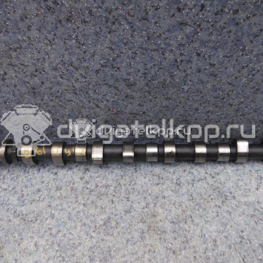 Фото Шестерня (шкив) распредвала для двигателя 4M41 для Mitsubishi Pajero 160-208 л.с 16V 3.2 л Дизельное топливо ME203099