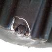Фото Контрактный (б/у) двигатель M47 D20 (204D4) для Bmw 5 / 1 / X3 / 3 116-177 л.с 16V 2.0 л Дизельное топливо {forloop.counter}}