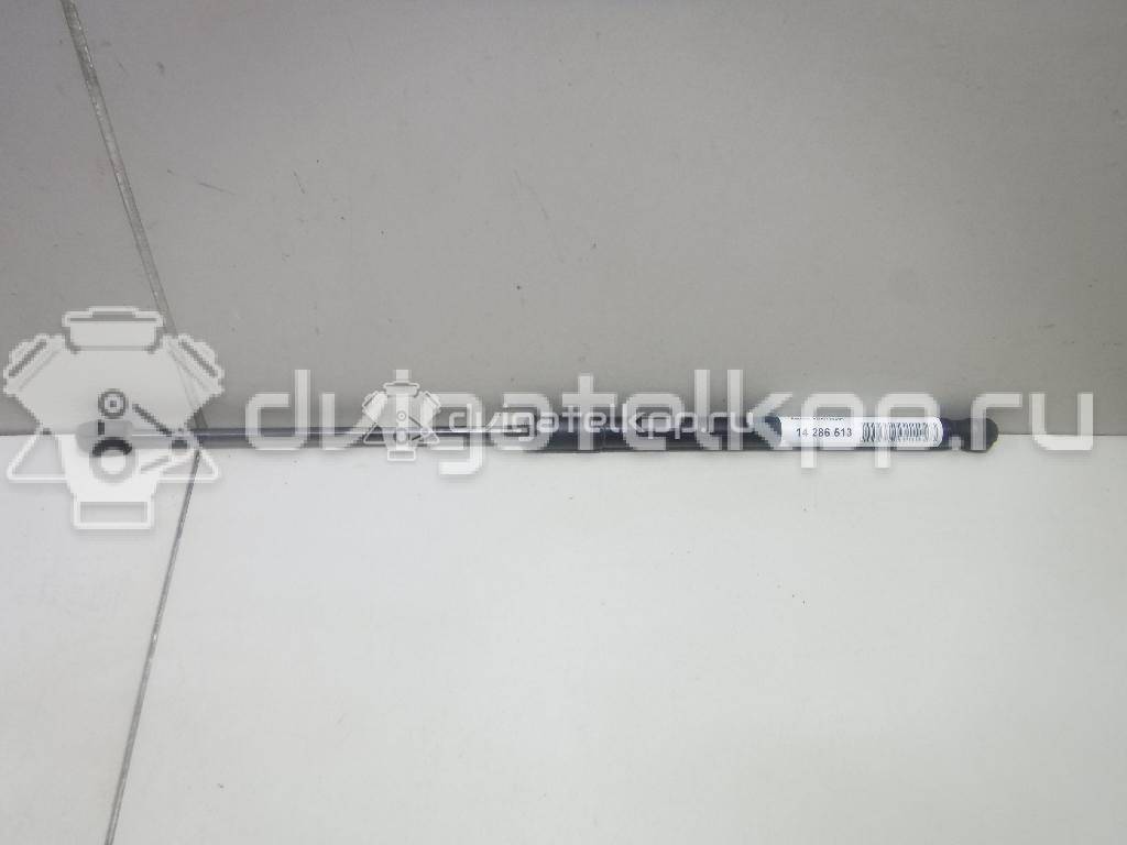 Фото Амортизатор двери багажника  8200735264 для Renault Sandero Stepway / Logan {forloop.counter}}