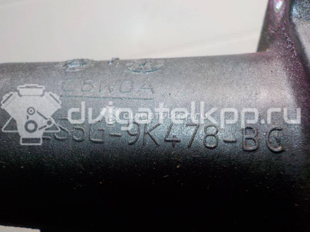 Фото Крышка термостата для двигателя IQDB для Ford Focus / C-Max / Grand 105 л.с 16V 1.6 л бензин 1707050 {forloop.counter}}