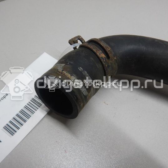 Фото Патрубок радиатора  8200233966 для Renault Grand / Scénic / Megane