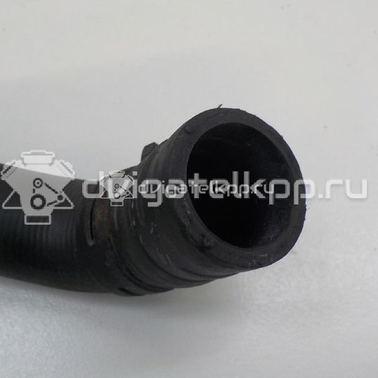 Фото Патрубок радиатора  8200233966 для Renault Grand / Scénic / Megane