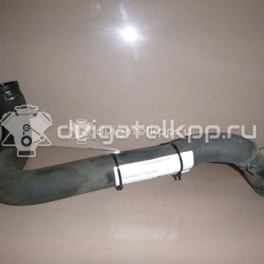 Фото Патрубок радиатора  8200233967 для Renault Grand / Scénic / Megane