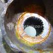 Фото Кулак поворотный передний левый  400150083R для Renault Grand / Scénic / Fluence L30 / Megane {forloop.counter}}