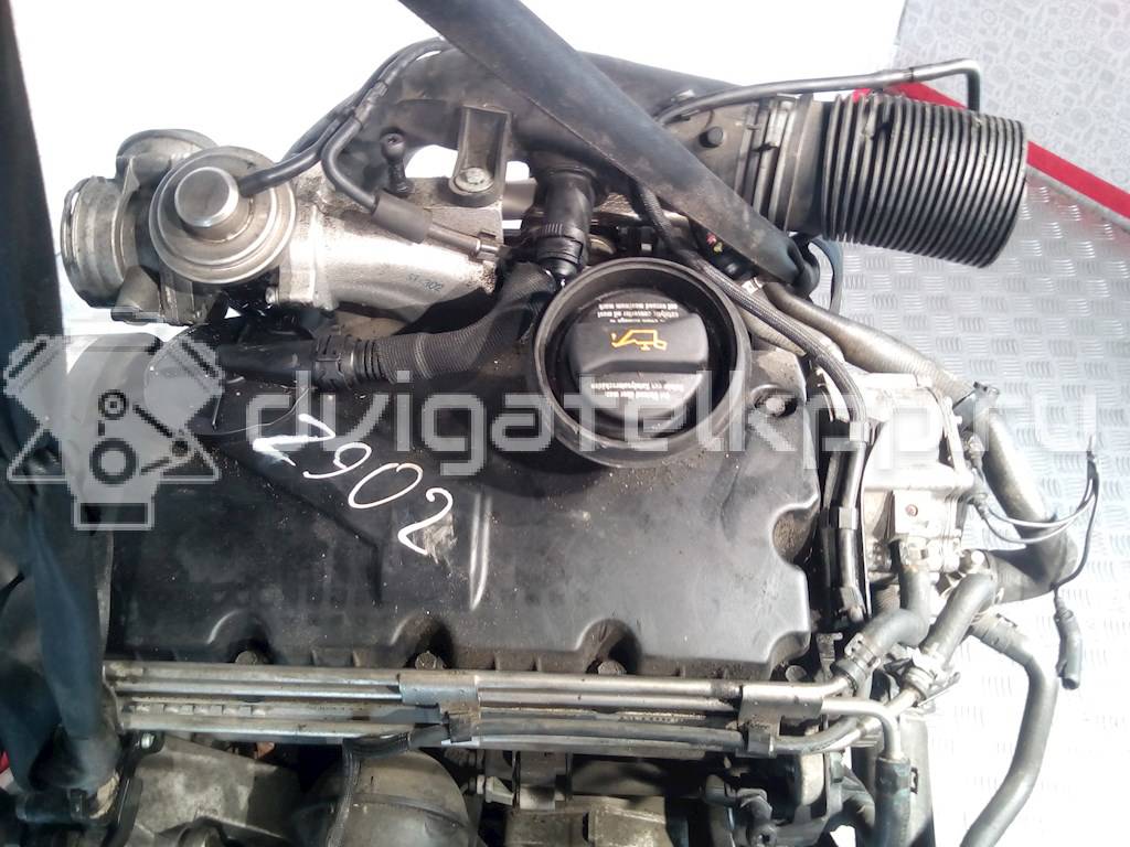 Фото Контрактный (б/у) двигатель AXR для Volkswagen / Seat 100 л.с 8V 1.9 л Дизельное топливо 283882 {forloop.counter}}