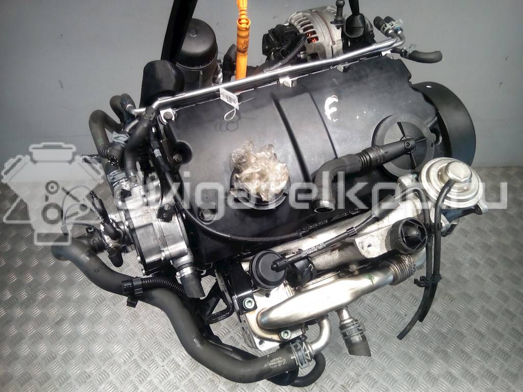 Фото Контрактный (б/у) двигатель AXR для Volkswagen / Seat 100 л.с 8V 1.9 л Дизельное топливо {forloop.counter}}