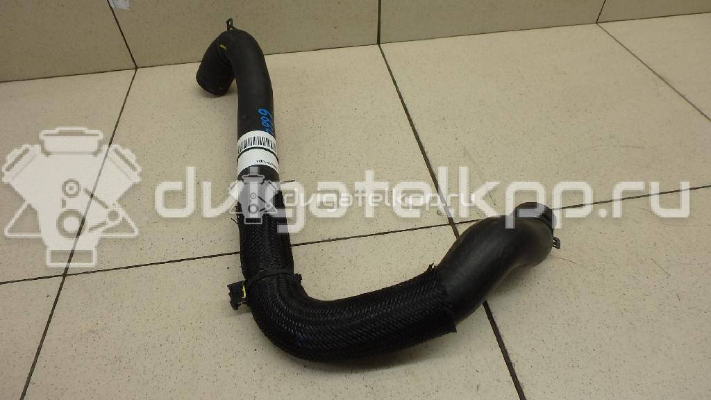 Фото Патрубок радиатора  215013877R для Renault Clio {forloop.counter}}