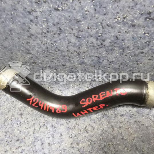 Фото Патрубок интеркулера для двигателя D4CB для Kia Sorento / K2500 Sd 129-178 л.с 16V 2.5 л Дизельное топливо 281654A104