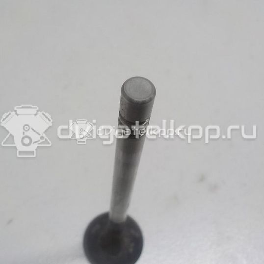 Фото Клапан выпускной  036109611K для Seat Ibiza / Cordoba / Leon / Toledo / Alhambra