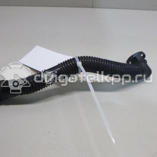 Фото Шланг воздушный  06A131127L для seat Altea