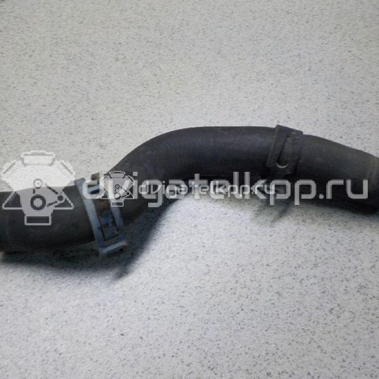 Фото Шланг системы охлаждения  5N0121109C для seat Altea