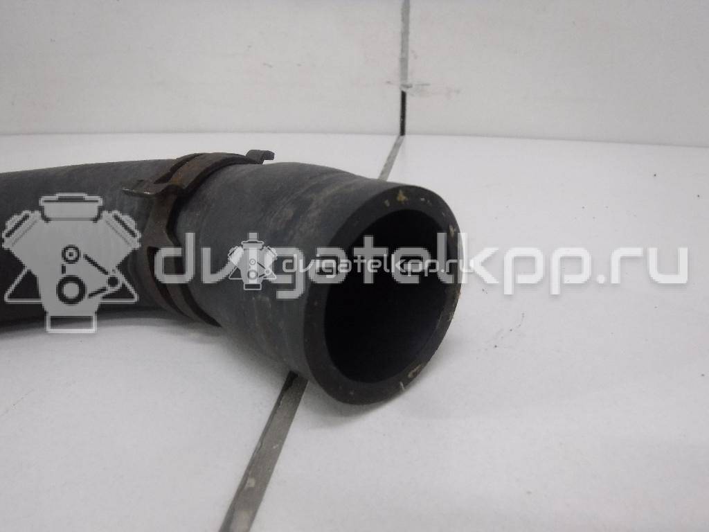 Фото Патрубок радиатора  1K0122051AP для Seat Leon / Altea {forloop.counter}}