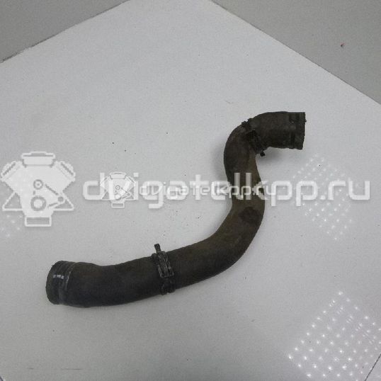 Фото Патрубок радиатора  1k0121101bs для Seat Leon / Toledo / Altea