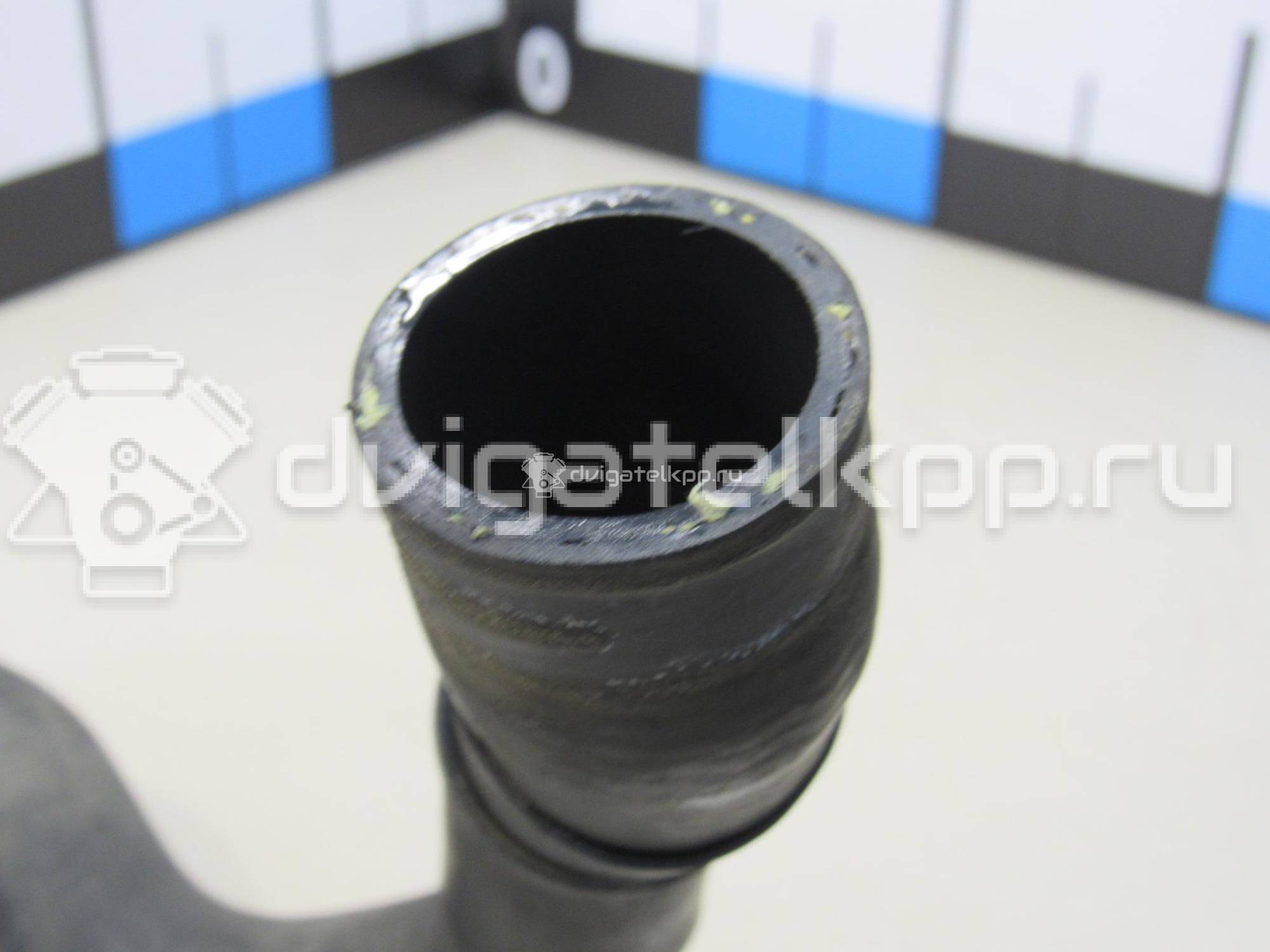 Фото Патрубок радиатора  8P0121052 для seat Altea {forloop.counter}}