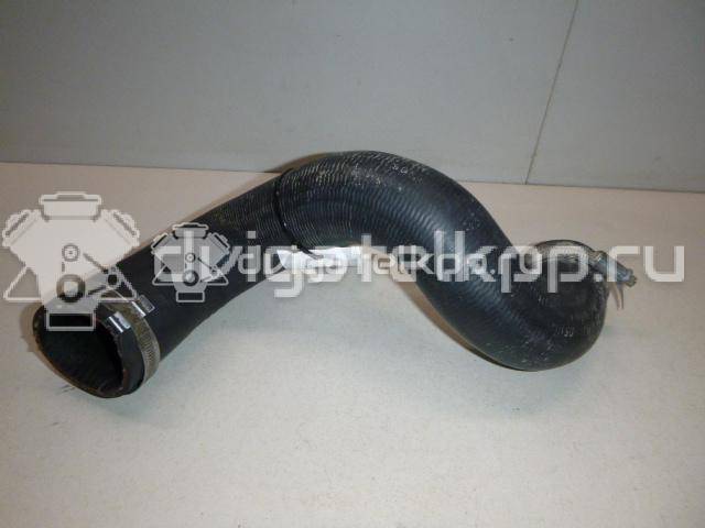 Фото Патрубок интеркулера для двигателя 276DT для Land Rover Range Rover / Discovery 190 л.с 24V 2.7 л Дизельное топливо PNH500223 {forloop.counter}}