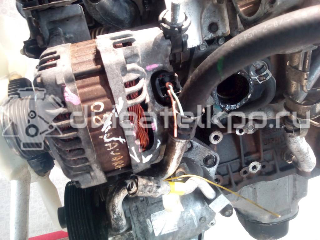 Фото Контрактный (б/у) двигатель YD25DDTi для Nissan Cabstar / Navara / Np300 / Pathfinder / Pick Up 100-190 л.с 16V 2.5 л Дизельное топливо {forloop.counter}}