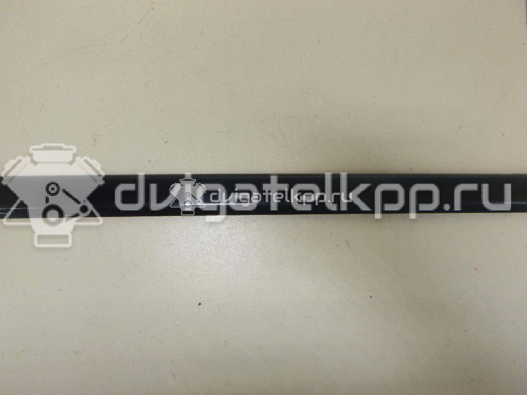 Фото Молдинг передней левой двери  8E0853953GRU для seat Exeo {forloop.counter}}