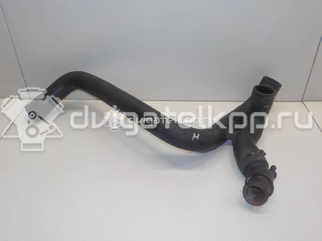 Фото Патрубок радиатора  1J0121049E для Seat Leon / Toledo {forloop.counter}}