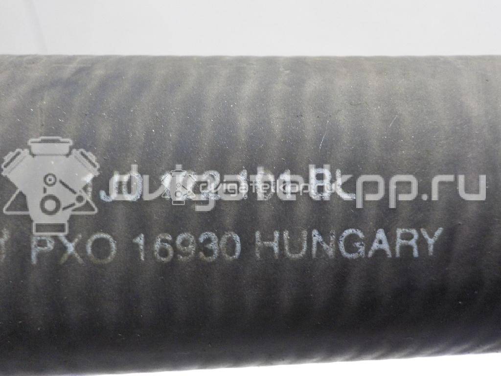 Фото Патрубок радиатора  1J0122101BL для Seat Leon / Toledo {forloop.counter}}