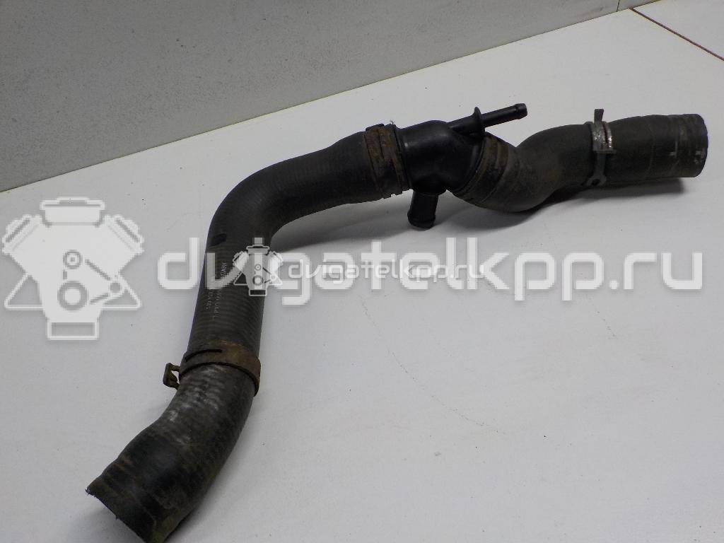 Фото Патрубок радиатора  1J0122101BL для Seat Leon / Toledo {forloop.counter}}