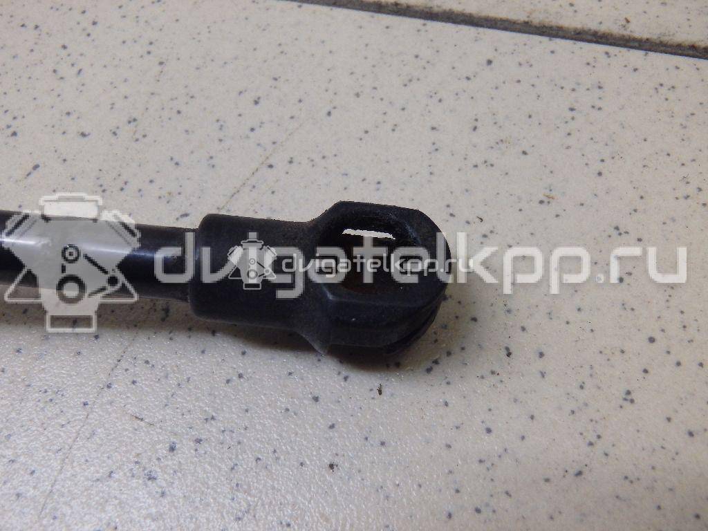 Фото Амортизатор двери багажника  1P0827550A для Seat Leon {forloop.counter}}