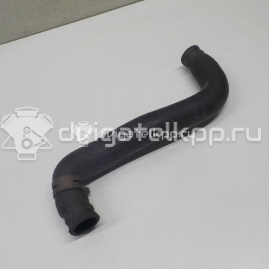 Фото Шланг системы охлаждения  026121053G для Seat Cordoba / Toledo