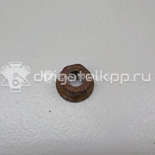 Фото Гайка  N01508315 для Seat Ibiza / Leon / Toledo / Alhambra / Altea