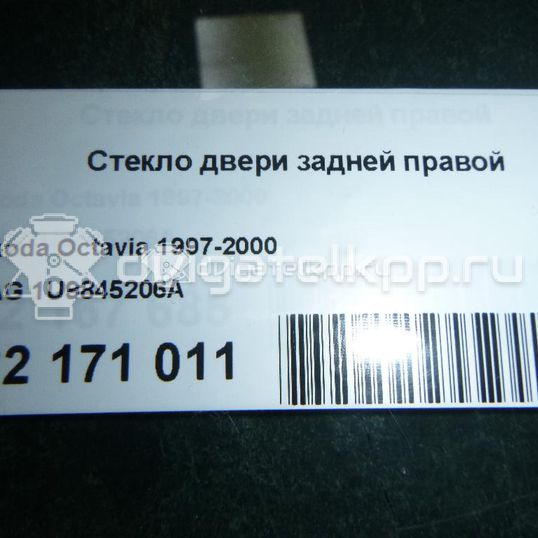 Фото Стекло двери задней правой  1U9845206A для Skoda Octavia