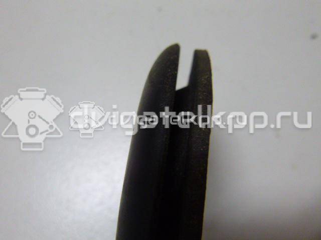 Фото Уплотнитель (внутри)  1Z0867471 для skoda Octavia (A5 1Z-) {forloop.counter}}